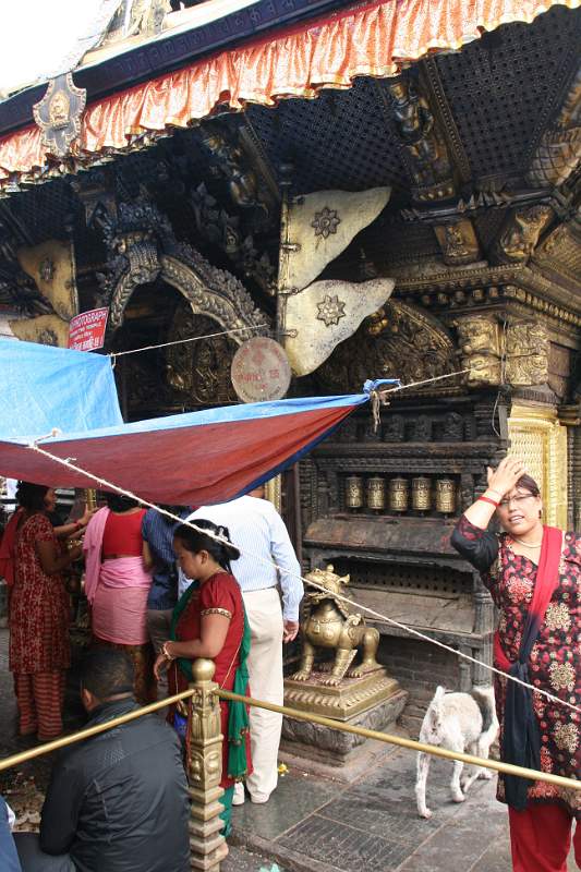 India & Nepal 2011 - 0393